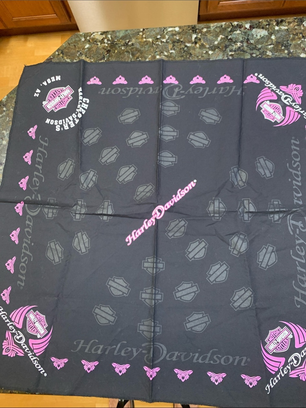 Harley-Davidson Black and Pink Logo Bandana from Chester’s HD Mesa, AZ